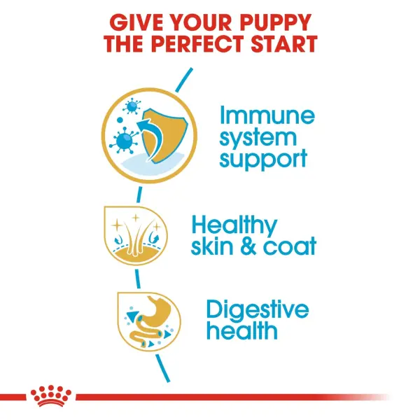 ROYAL CANIN SHIH TZU JUNIOR - 1.5KG image 1