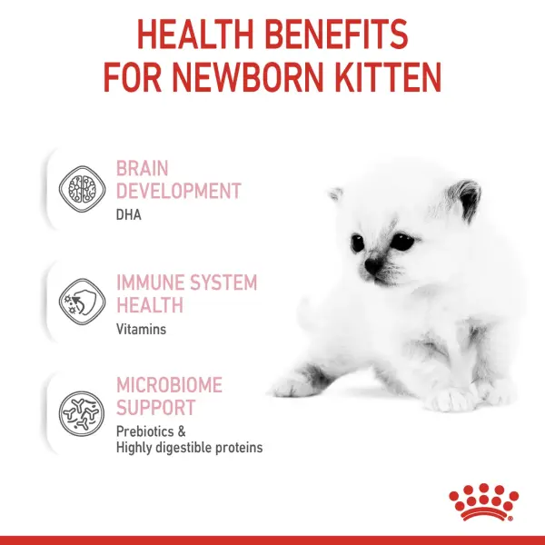 ROYAl CANIN BABY CAT MILK - 300gm image 1