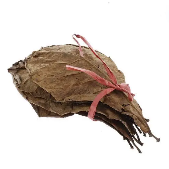 Almond Leaf image 0