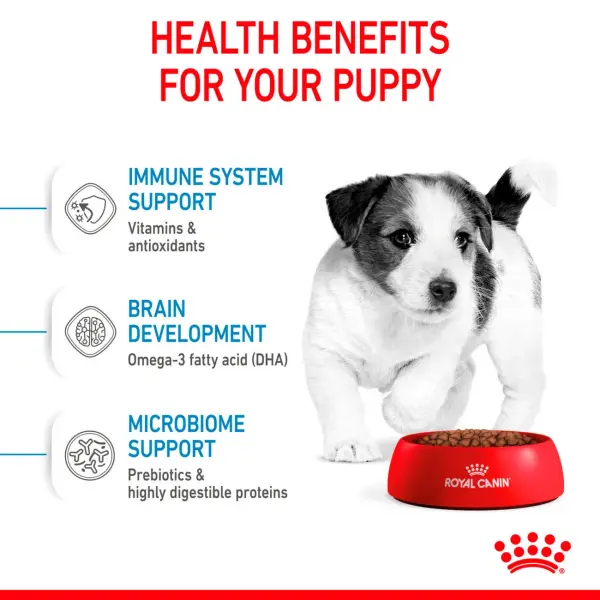 Royal Canin Mini Puppy Food 4kg image 1