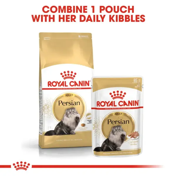 ROYAl CANIN PERSIAN - 2KG image 1