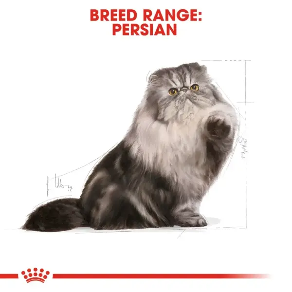 ROYAl CANIN PERSIAN - 2KG image 5