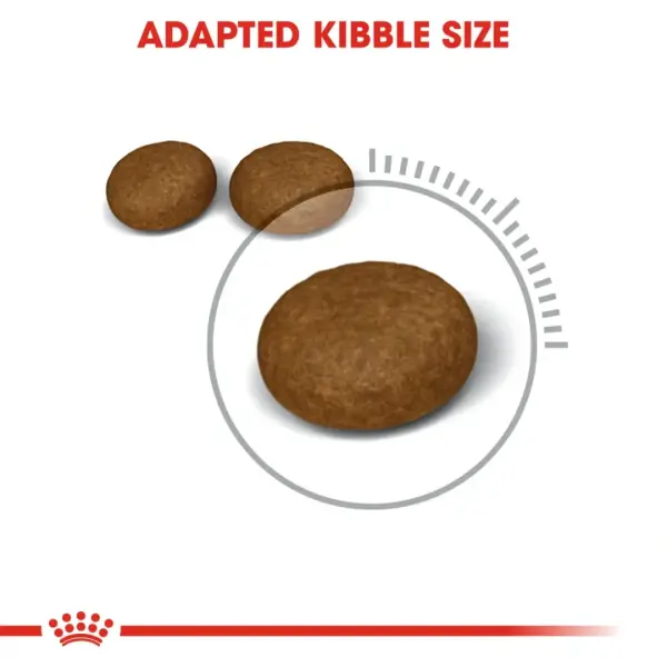 ROYAl CANIN HAIR & SKIN - 400gm image 6