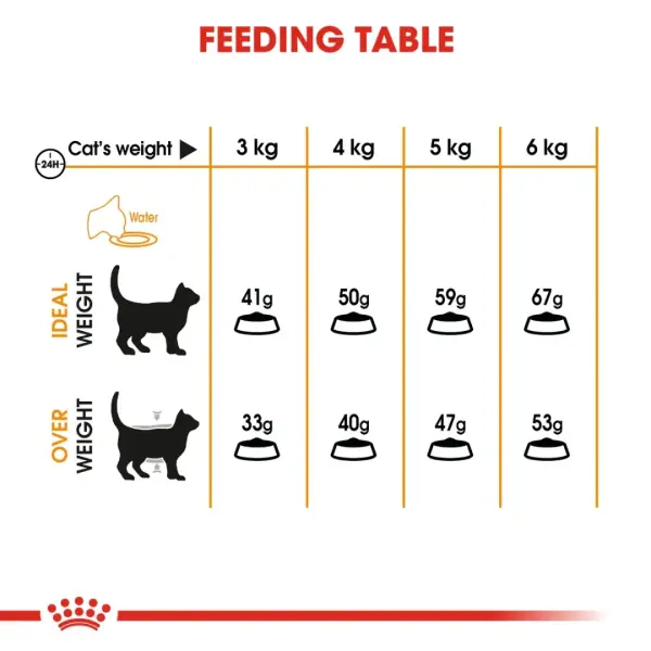 ROYAl CANIN HAIR & SKIN - 400gm image 2