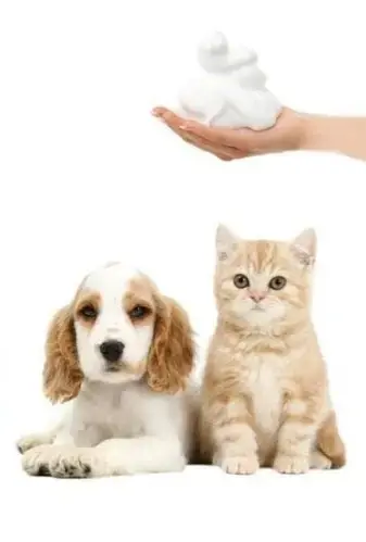 Pets Republic Foam Dry Shampoo Protein - 520ml image 1