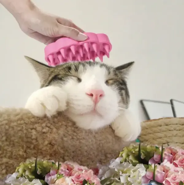 Soleil - Massage Brush For Cat - B0086 image 3