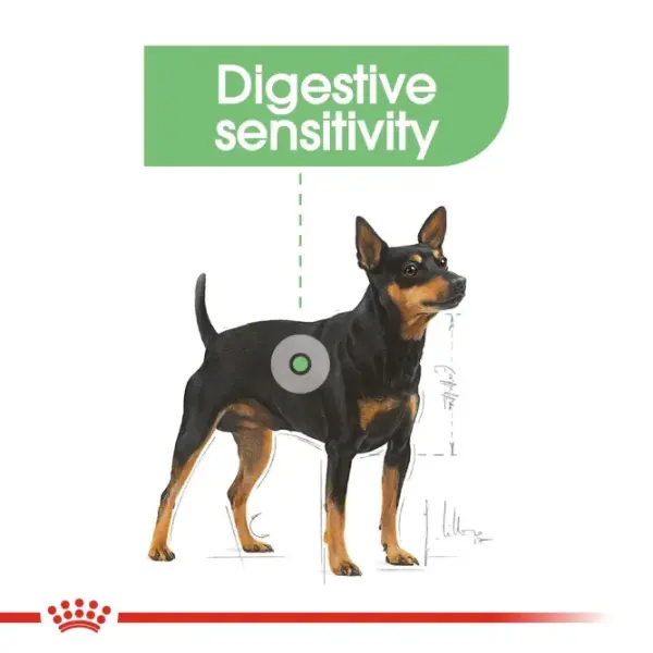 ROYAl CANIN Digest Dog Pouch - 85 GM image 1