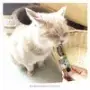 Puree Chicken And Salmon Pet Treat Multicolour 15g image 1