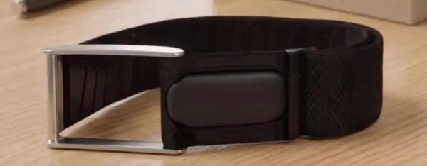 Converter Fitbit air to whoop image 1