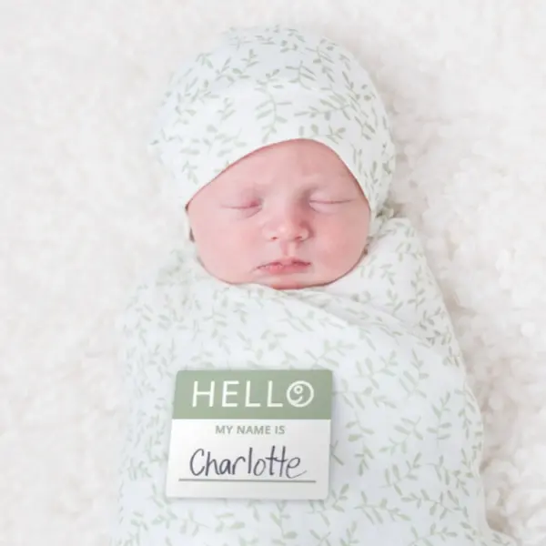 Hello World Bamboo Hat & Swaddle Blanket Set - Greenery image 2