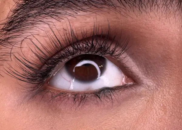 Gaze 1 image 4