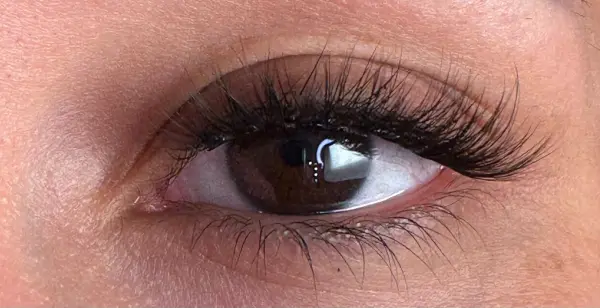 Hawk eye'd  image 2