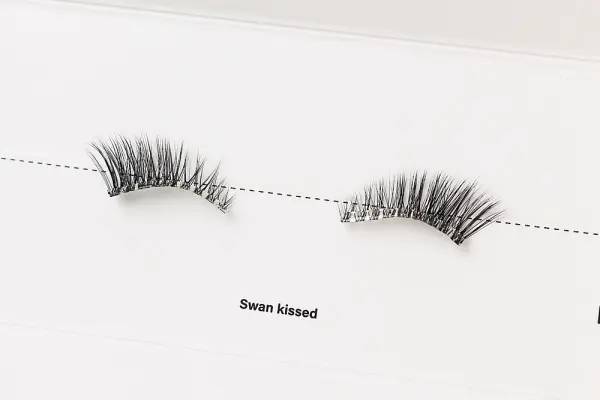 Swan kissed image 0