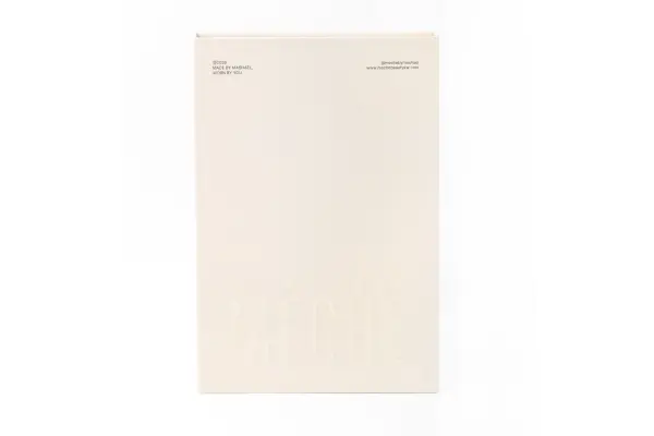 Magnetice Lash book image 1