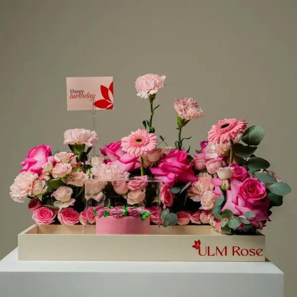باري image 0
