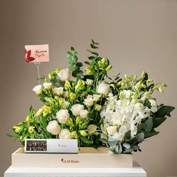 بلومينق تراي image 0