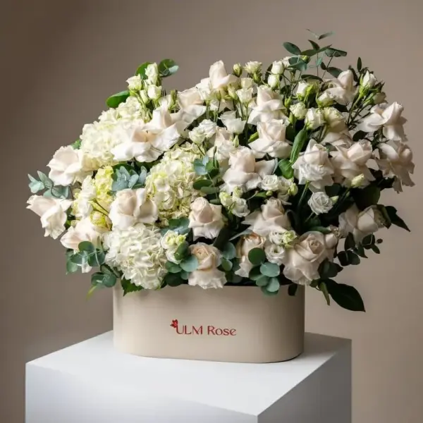برايت وايت image 0