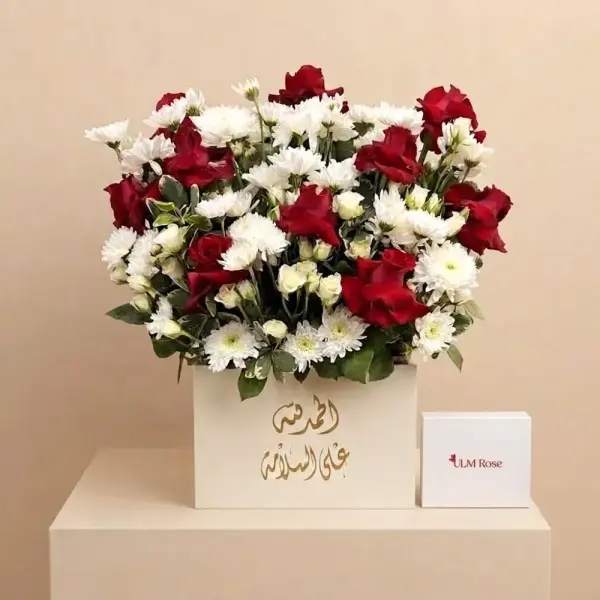 صندوق التفتح القرمزي image 0
