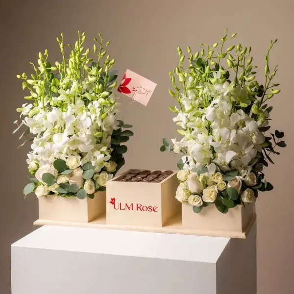 هيكاري image 0