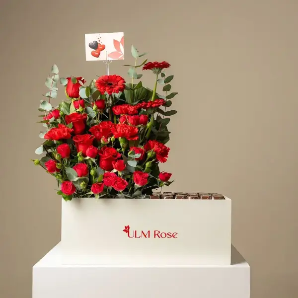 قمري image 0