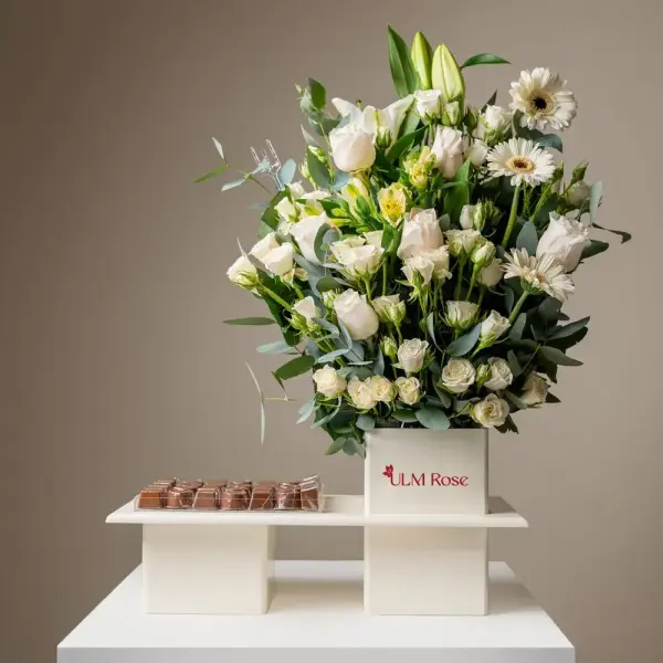 مايا image 0