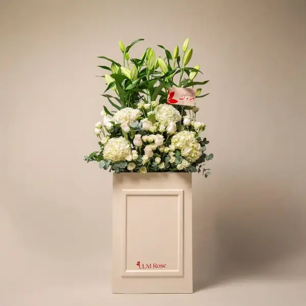 نانامي image 0