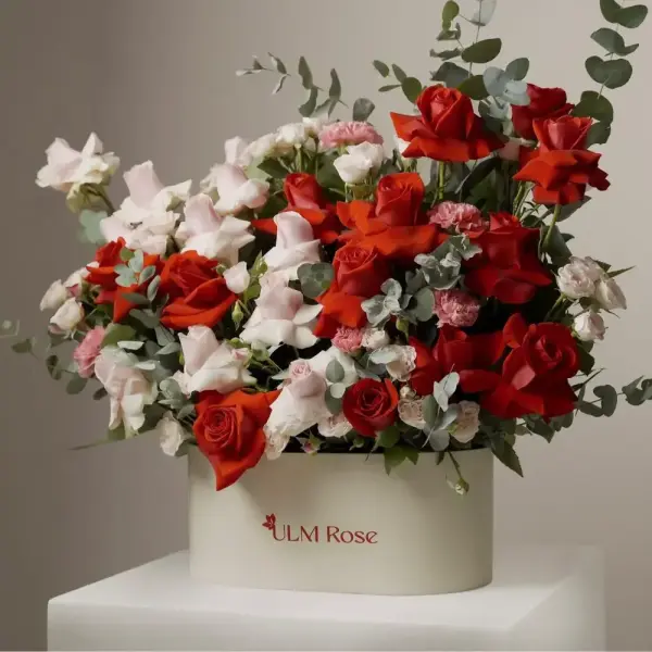 بريا image 0