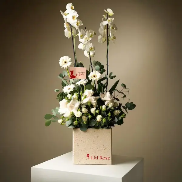 ريانش image 0