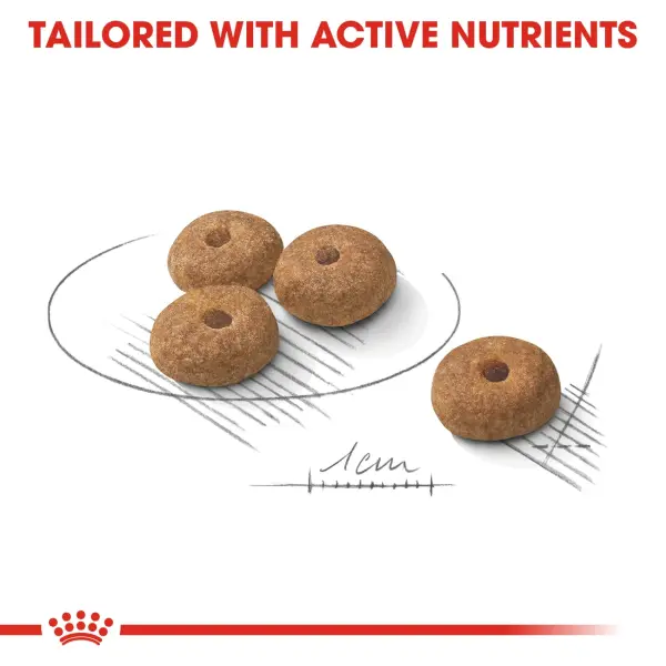 Royal Canin Mini Sterilized For Dogs 3 Kg image 1