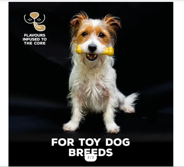 TastyBone Nylon Toy Dog - Chicken image 1