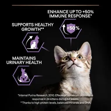 Purina Pro Plan Healthy Start Dry Food with Chicken for Kittens (Up to 1 Years) 1.5 kg image 3
