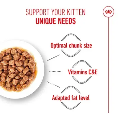 Royal Canin Kitten Sterilized in Jelly 85G image 2