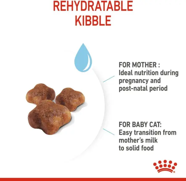 Royal Canin Dry Food for Mother &amp; Baby Cats (1-4 Months) 10 kg image 1