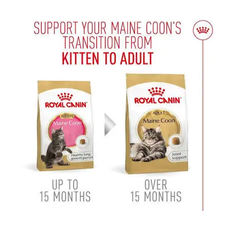 Royal Canin Maine Coon Kitten Dry Food 2KG image 3