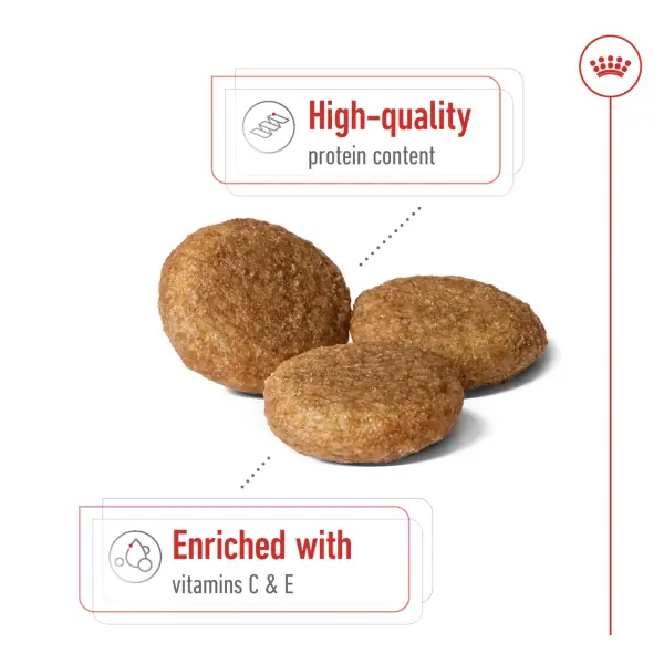 Royal Canin Medium Adult Dry Dog Food 4KG image 2