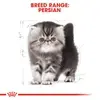 Royal Canin Persian Kitten Dry Food 2KG image 1