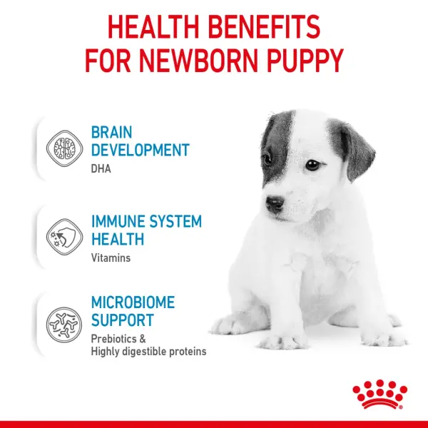Royal Canin Baby Dog Instant Milk Powder with DHA for All Breeds (0-2 Months) 400 gr image 1