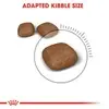 Royal Canin Urinary Care Adult Dry Cat Food 400G image 3