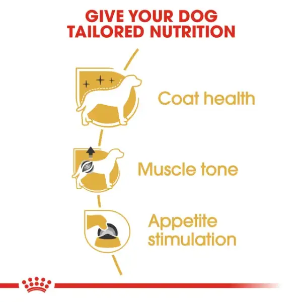 Royal Canin Poodle Adult Wet Dog Food 85G image 2