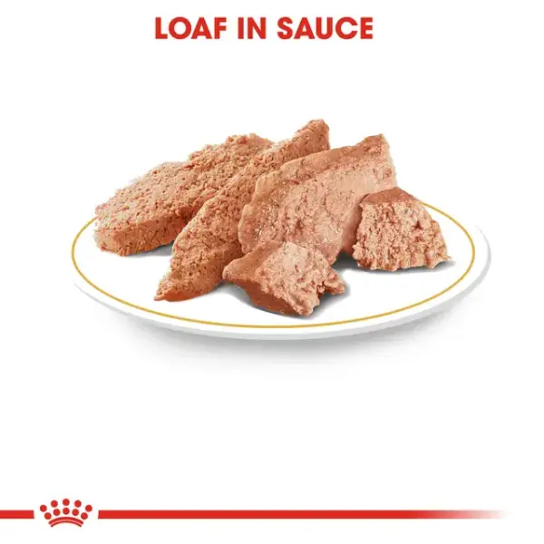 Royal Canin Poodle Adult Wet Dog Food 85G image 1