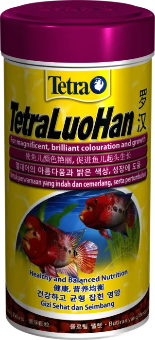 Tetra LuoHan Flower Horn 250ml image 0