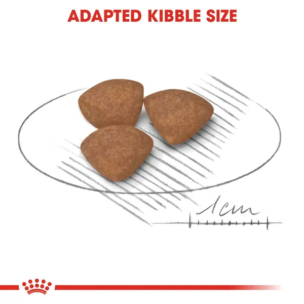 Royal Canin Mini Puppy 2KG image 3