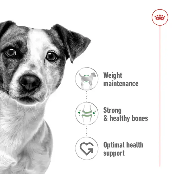 Royal Canin Mini Adult Dry Dog Food 2KG image 1