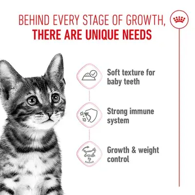 Royal Canin Kitten Sterilized in Jelly 85G image 3