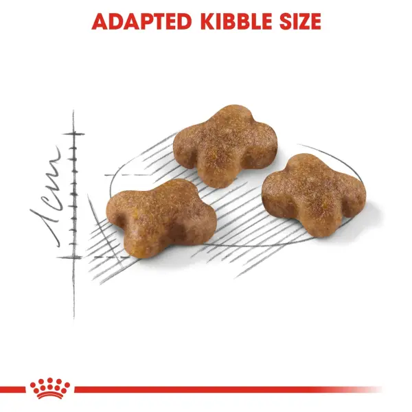 Royal Canin Kitten Dry Food 10KG image 1