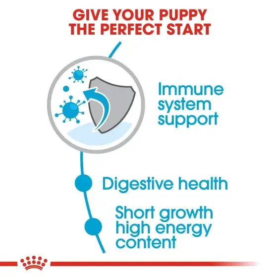 Royal Canin Medium Puppy Dry Food 10KG image 2