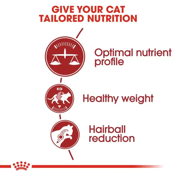 Royal Canin Regular Fit 32 Adult Dry Cat Food 4KG image 2