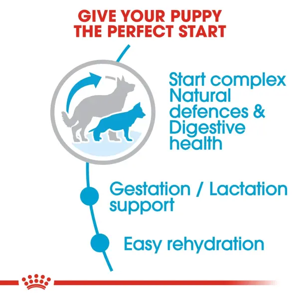 ROYAL CANIN MAXI STARTER M&B - 4KG image 1