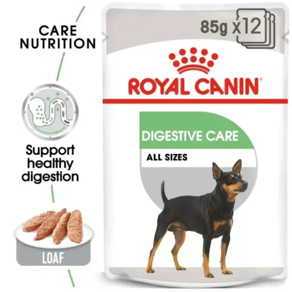 Ryal canin Digestive care dogs single pouch image 0