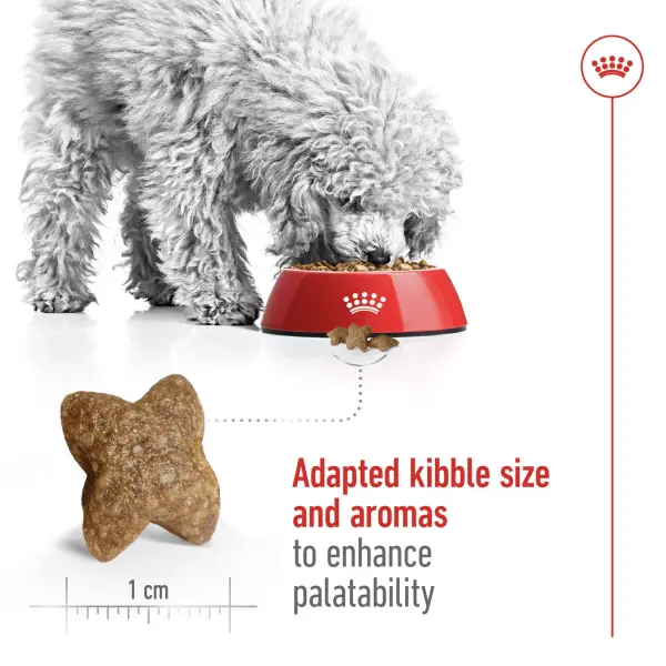 Royal Canin Mini Adult Dry Dog Food 2KG image 3